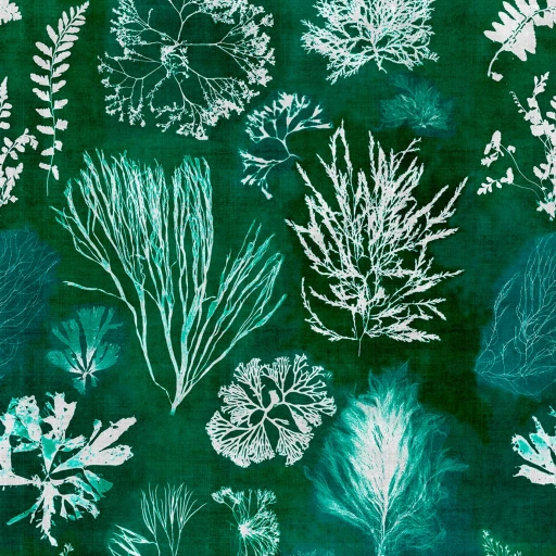 MINDTHEGAP Atoll Algae Moss WP20296