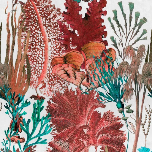MINDTHEGAP Atoll Coral Reef WP20299