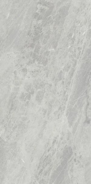 Ariostea Ultra Marmi Gris De Savoie 