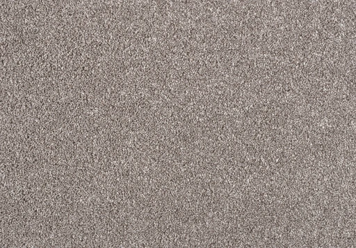 Epic Carpets Ursa Griseo 0260