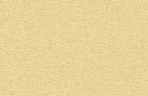 Rasch Textil Simplicity 229409