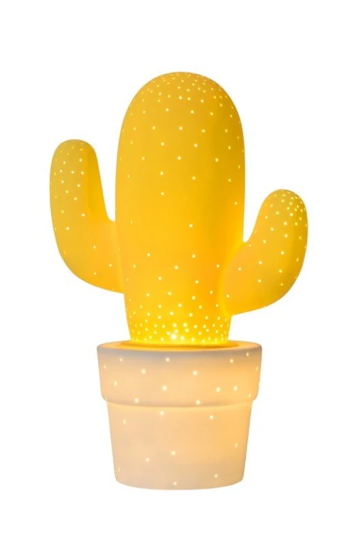 CACTUS 13513/01/34