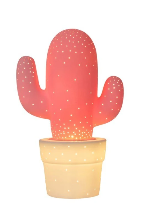 CACTUS 13513/01/66