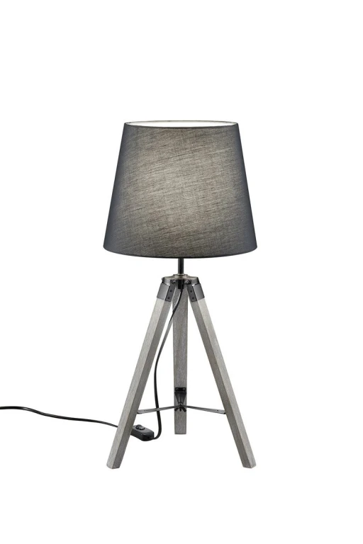 TRIPOD R50991011