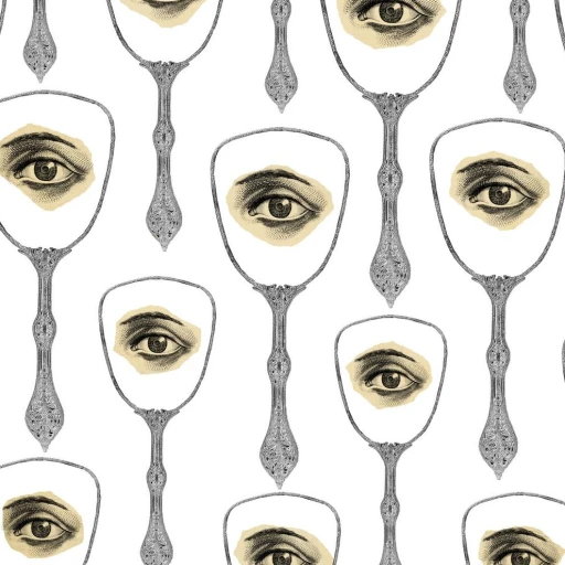 MINDTHEGAP Illusion Mirror’s Eye WP20082