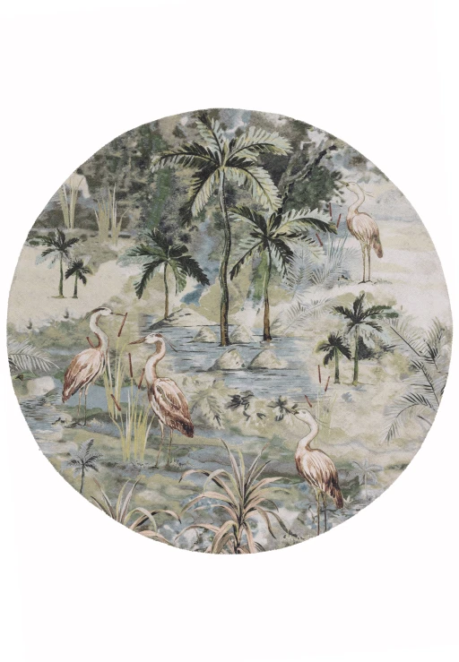 Asiatic Clarke &amp; Clarke Habitat Lagoon