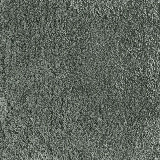 Van Besouw 2301 480