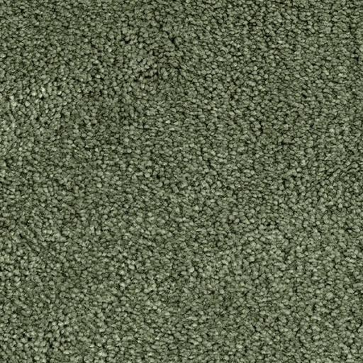 Van Besouw 2616 440