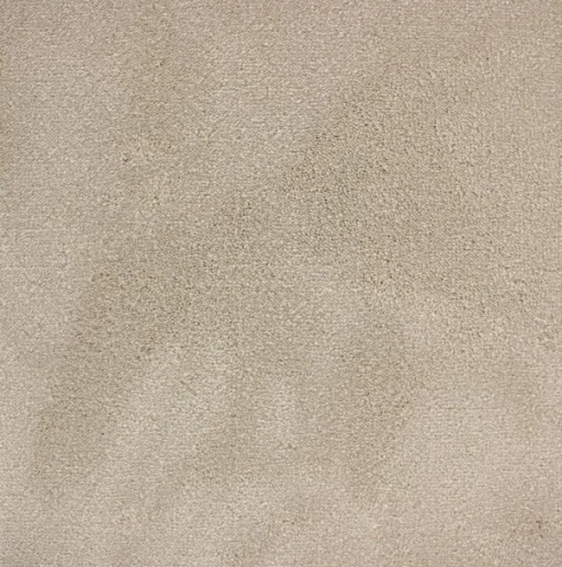 Epic Carpets Pearl 2 112 Pearl