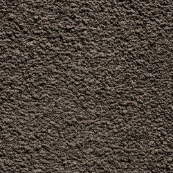 Epic Carpets Vibrance 563 Earth