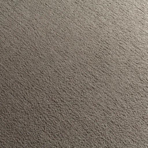 Epic Carpets Noa 496