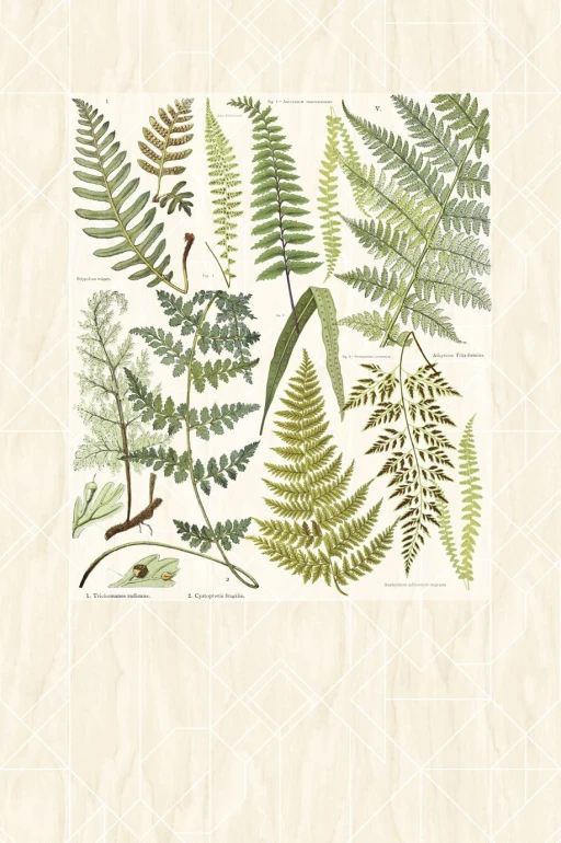 Eijffinger Geonature 366102 (mural)