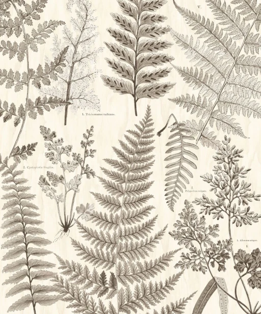 Eijffinger Geonature 366105 (mural) 