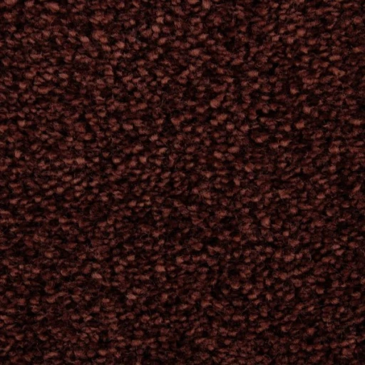 Epic Carpets Hipi 265 Rufus