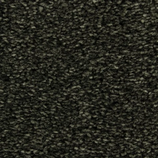 Epic Carpets Hipi 284 Toad