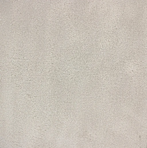 Epic Carpets Pearl 119 Salt