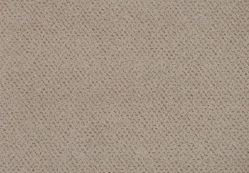 Epic Carpets Drops 462 Hemp 2