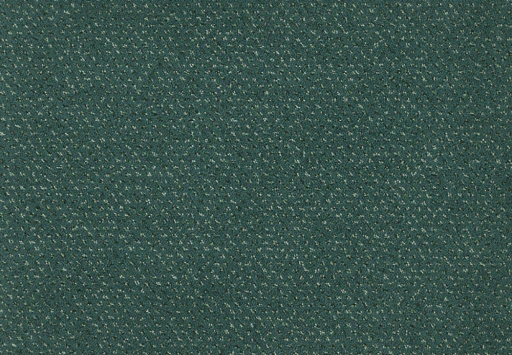 Epic Carpets Drops 682 Juniper 2