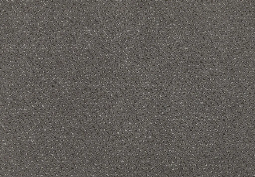 Epic Carpets Drops 842 Moonshine 2